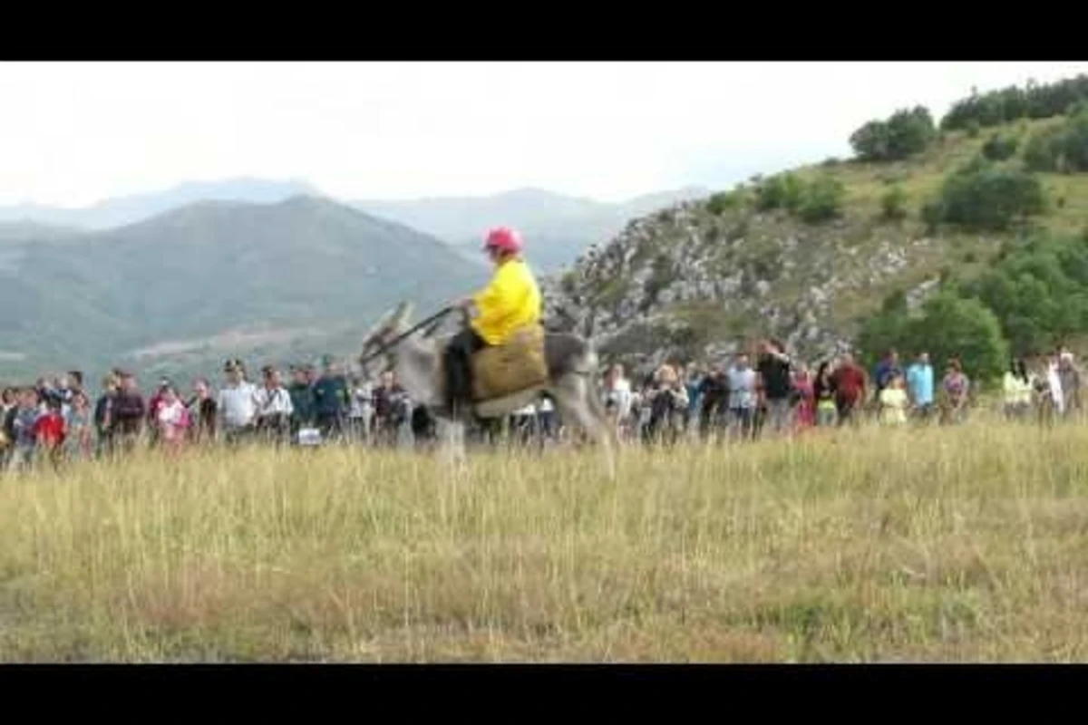 Ermənilərin Şuşanın Cıdır düzündə ulaq yarışı (VİDEO)