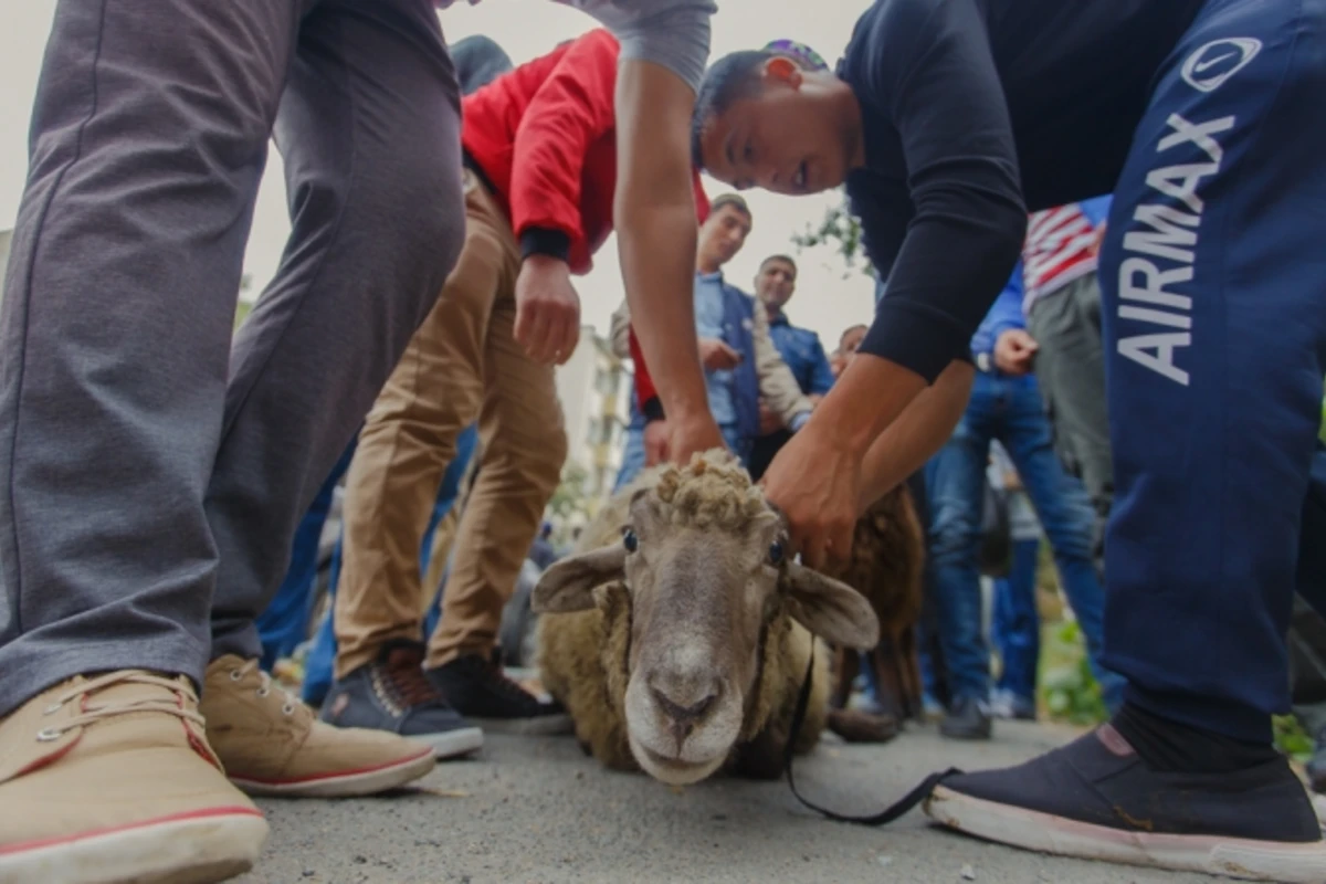 Rusiyada müsəlmanlar Qurban bayramını belə qeyd edirlər (FOTOREPORTAJ)