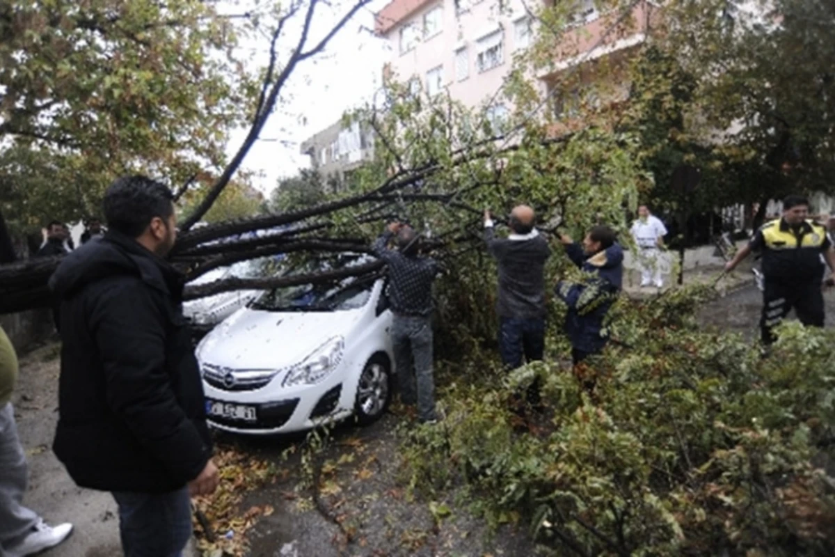 Azərbaycanda fırtına: ölən və yaralanan var