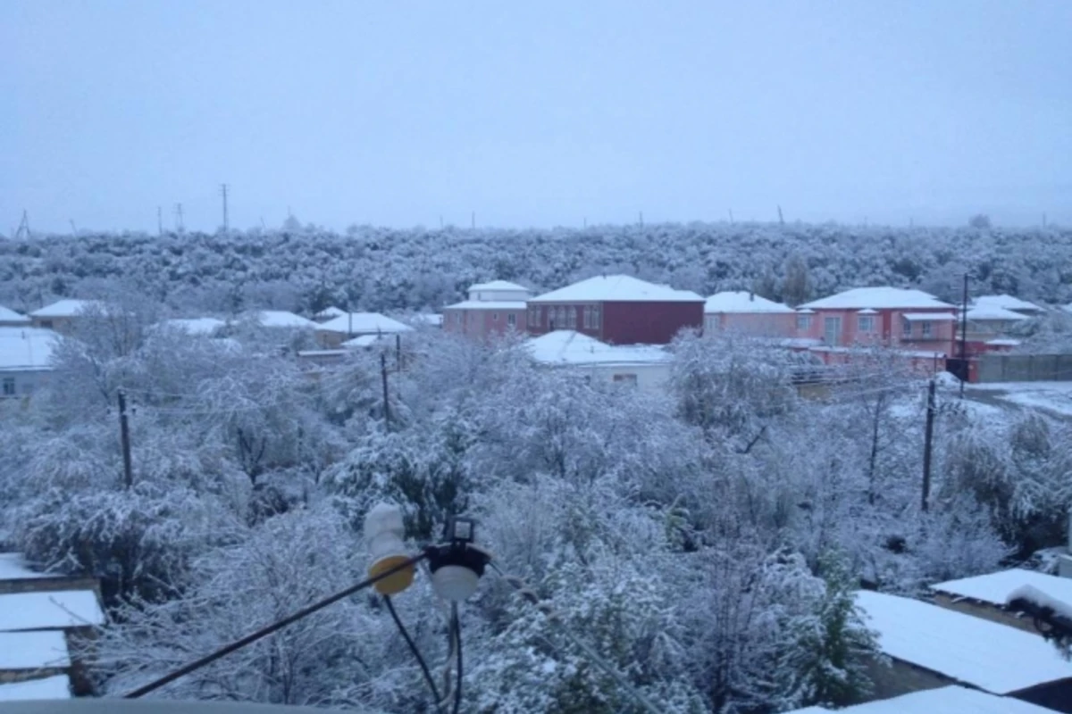 Azərbaycana ilk qar yağdı (FOTO)