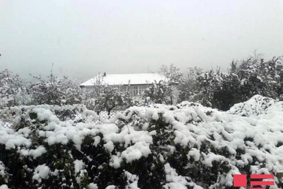 Azərbaycanın cənubuna qar yağdı - FOTO