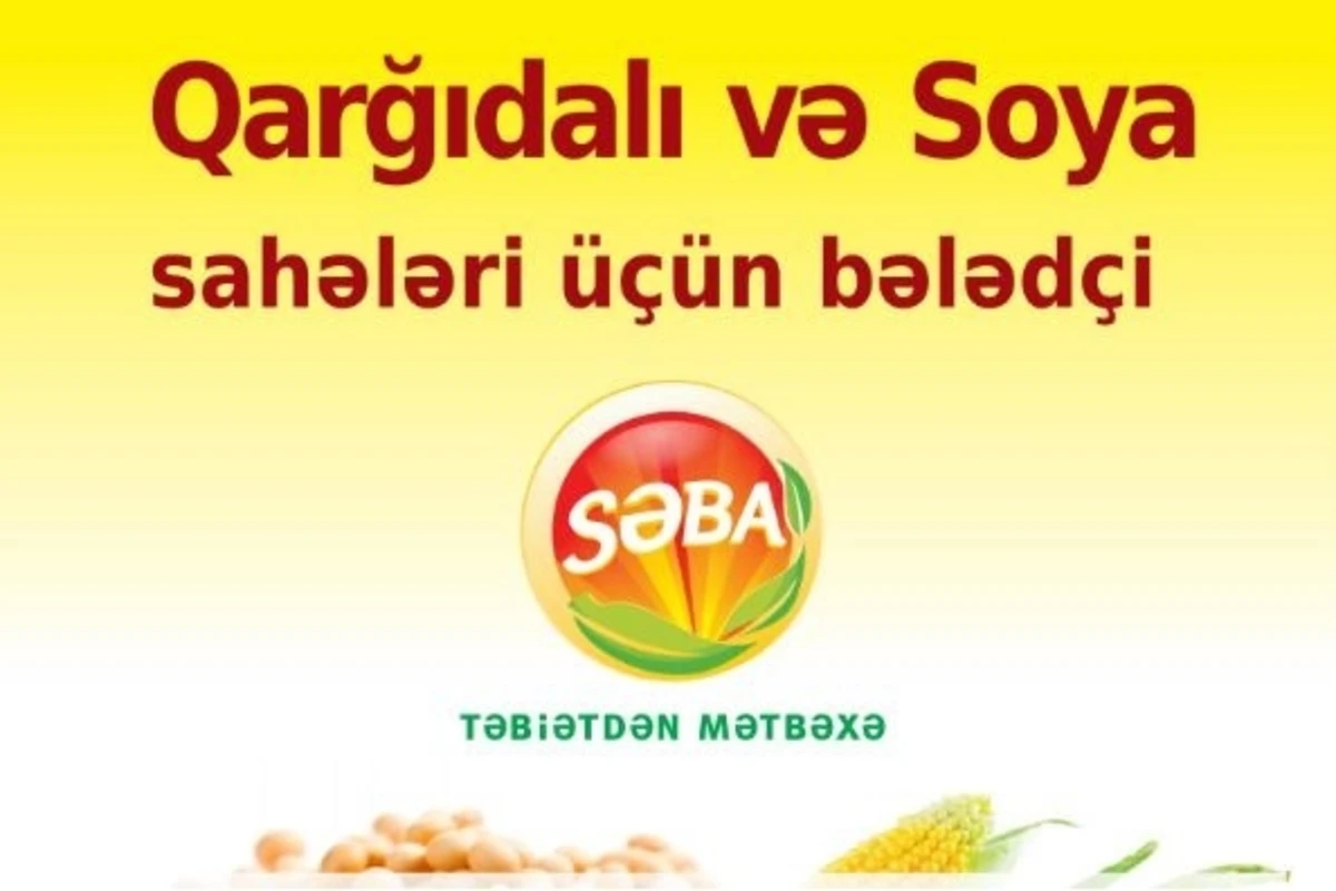 Səba şirkəti qarğıdalı və soya istehsalçılarına bələdçilik edəcək