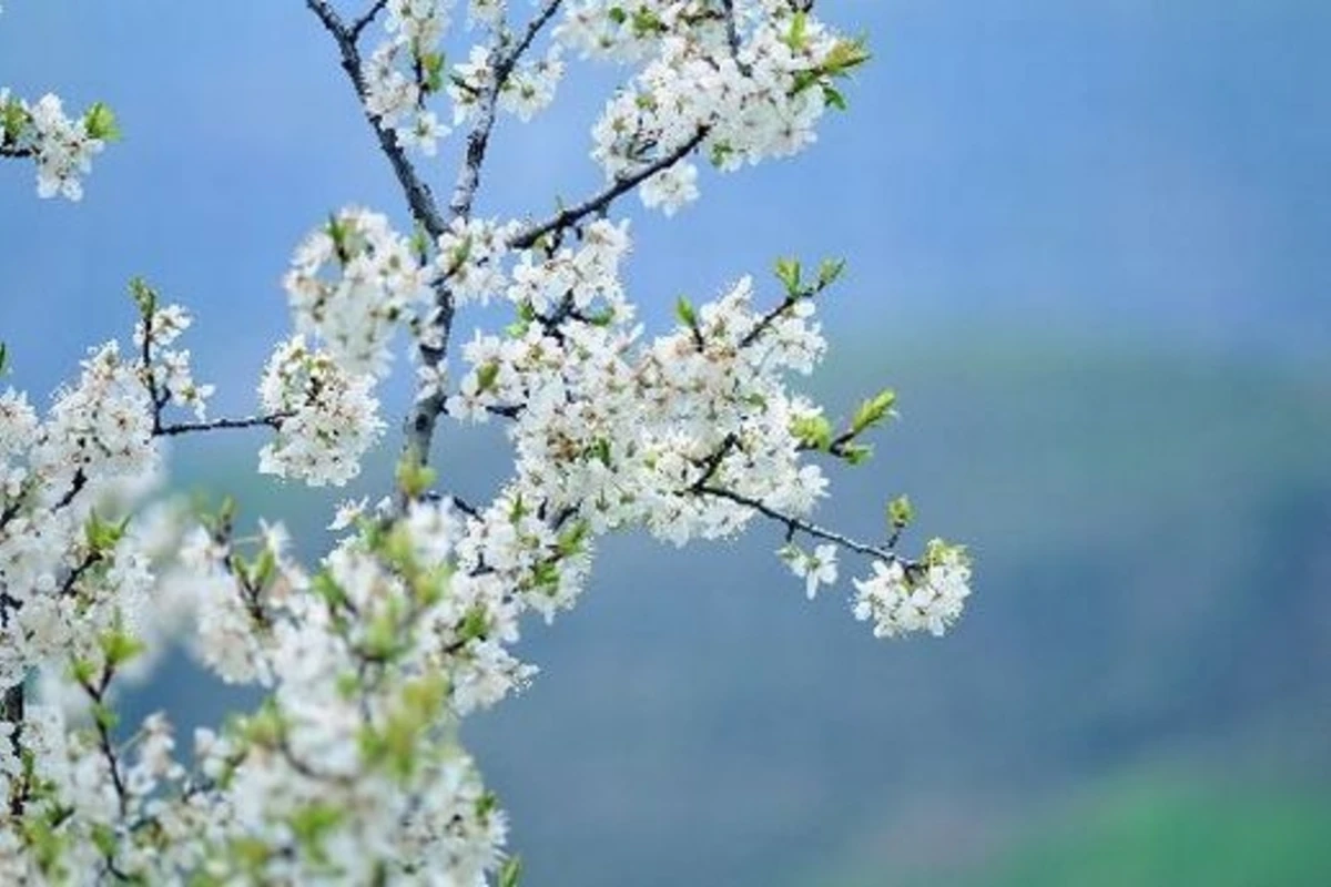 Sabaha olan hava proqnozu