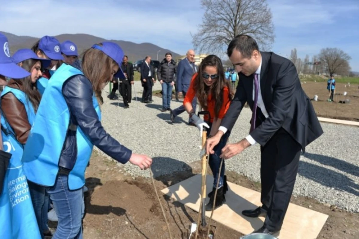 Leyla Əliyeva İsmayıllıda meyvə bağlarının salınmasında iştirak edib - FOTO