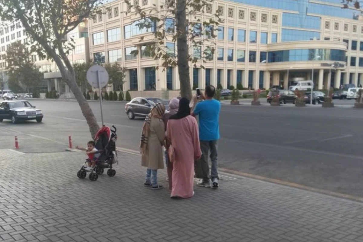 Ərəblər Bakıda ağaclara qənim kəsilib - FOTO