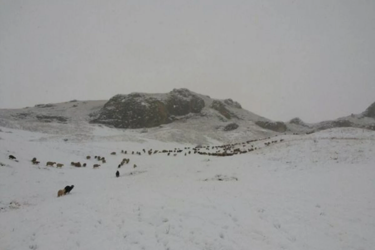 Azərbaycana ilk qar yağdı - FOTO