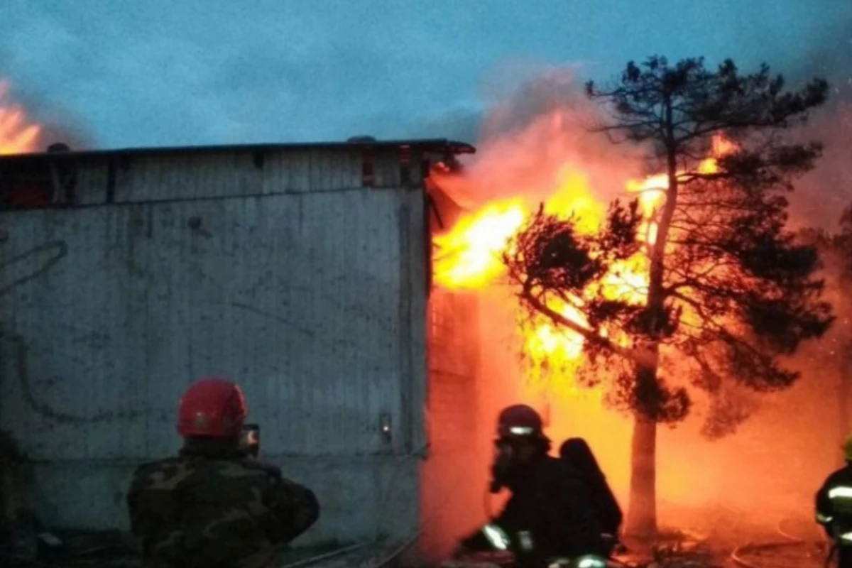 Narkoloji Mərkəzin direktoru həbs edildi (FOTO)