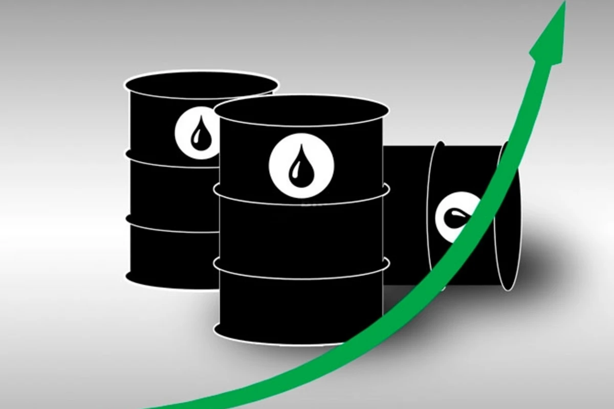 OPEC Azərbaycanda neft hasilatı üzrə proqnozunu açıqlayıb