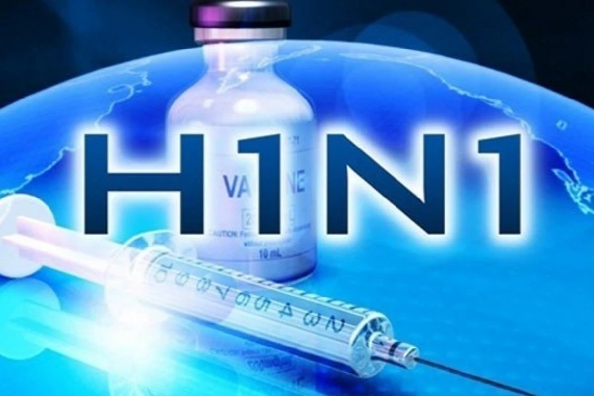 ÜST: Gürcüstanda “donuz qripi” adlı virus yoxdur