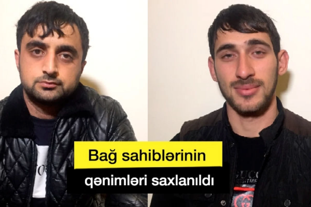 Bakıda bağ evlərinin qənimləri ələ keçdi – FOTO