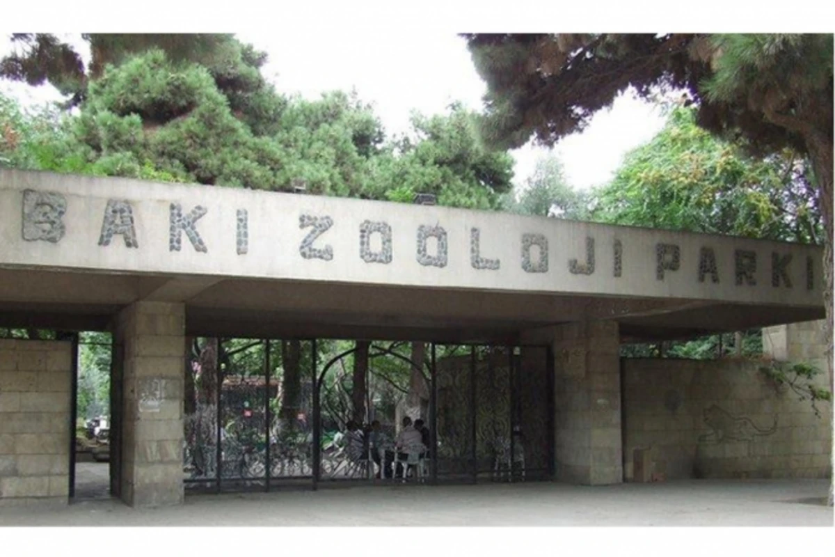 Bakı Zooparkı köçürülür