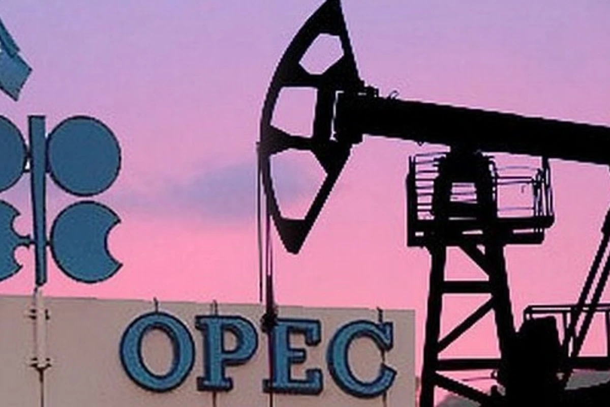 OPEC 2019-cu ildə neftə dünya tələbi proqnozunu aşağı salıb