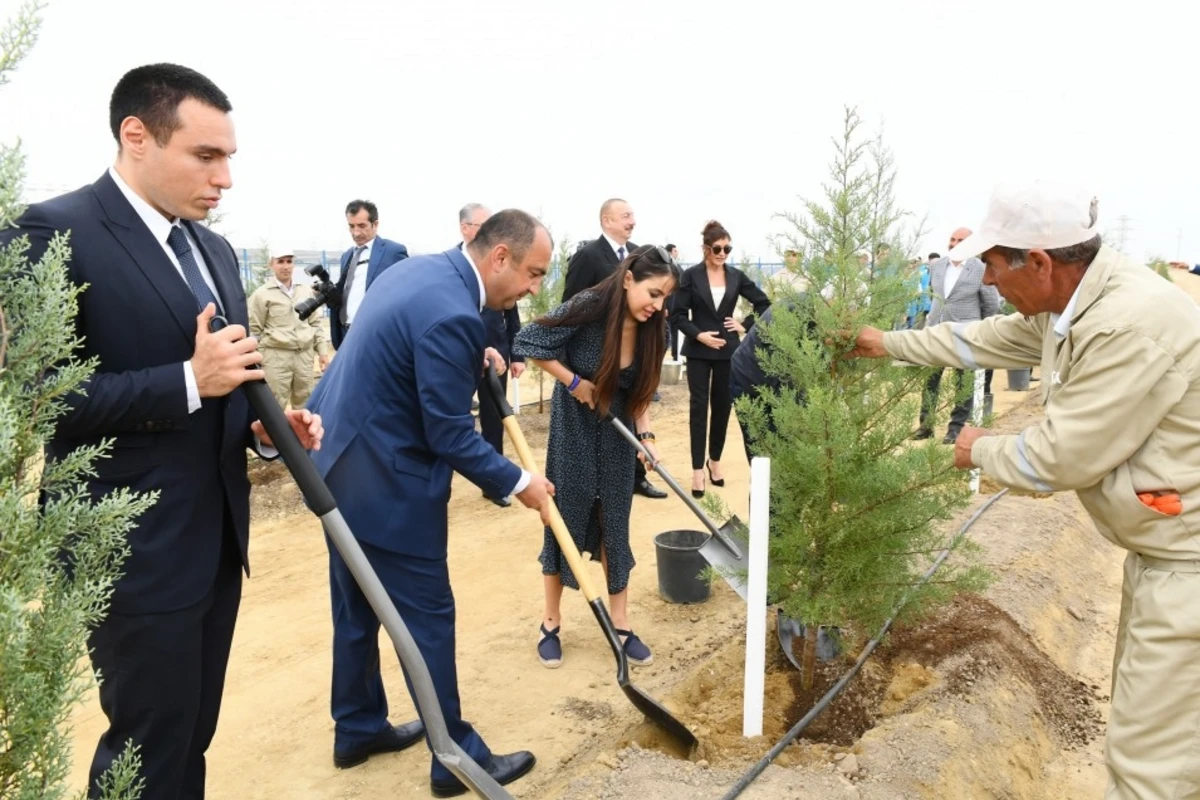 Prezident və birinci xanım ağacəkmə aksiyasında iştirak edib - FOTO