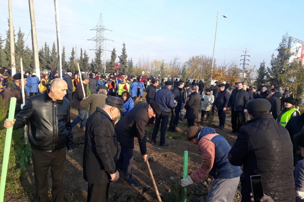 Azərbaycanda 650 min ağacın əkilməsinə start verildi - FOTO