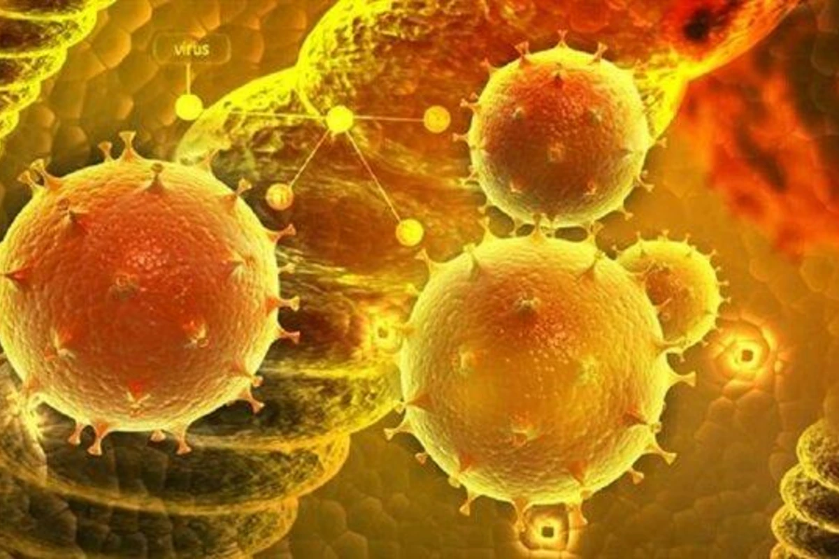 Koronavirus bitməmiş insanları daha bir virus təhdid edir