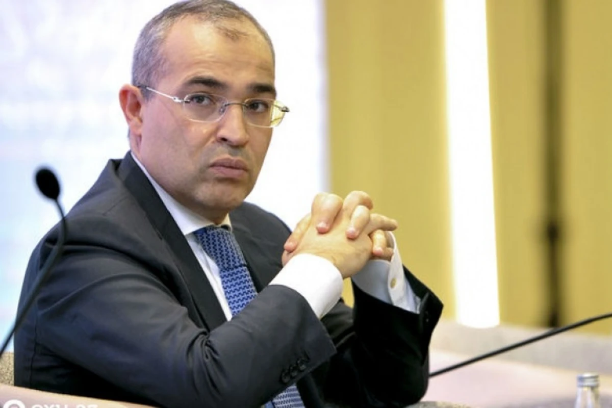 Nazir: “Qəbul edilmiş dəstək proqramları iş yerlərinin saxlanmasına yönəlib” - VİDEO