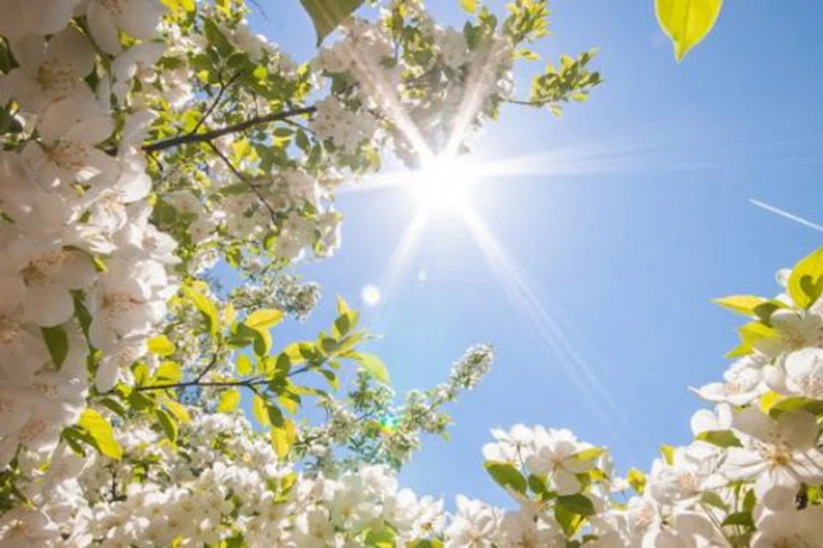 Avqust ayına olan hava proqnozu açıqlandı