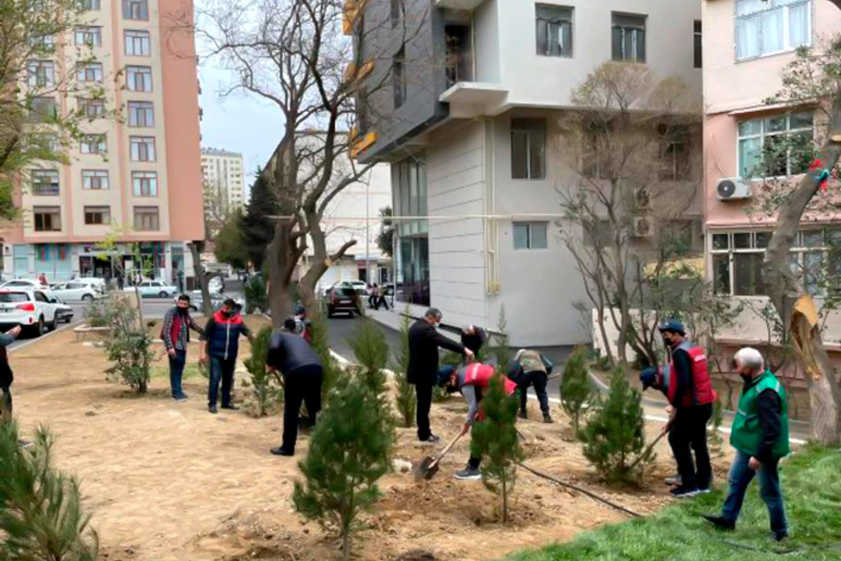 Nəsimi rayonunda növbəti abad həyət istifadəyə verildi - FOTO