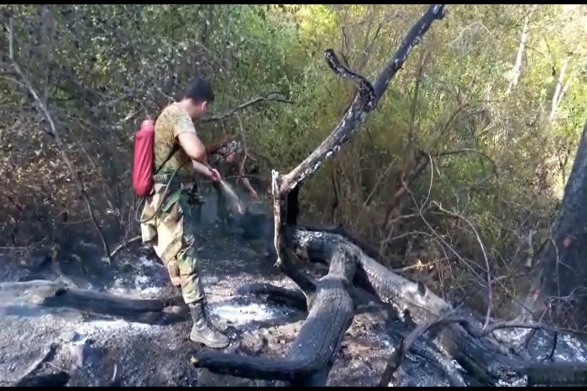 Türkiyə və Azərbaycan yanğınsöndürənləri yanğının söndürülməsində iştirak edir