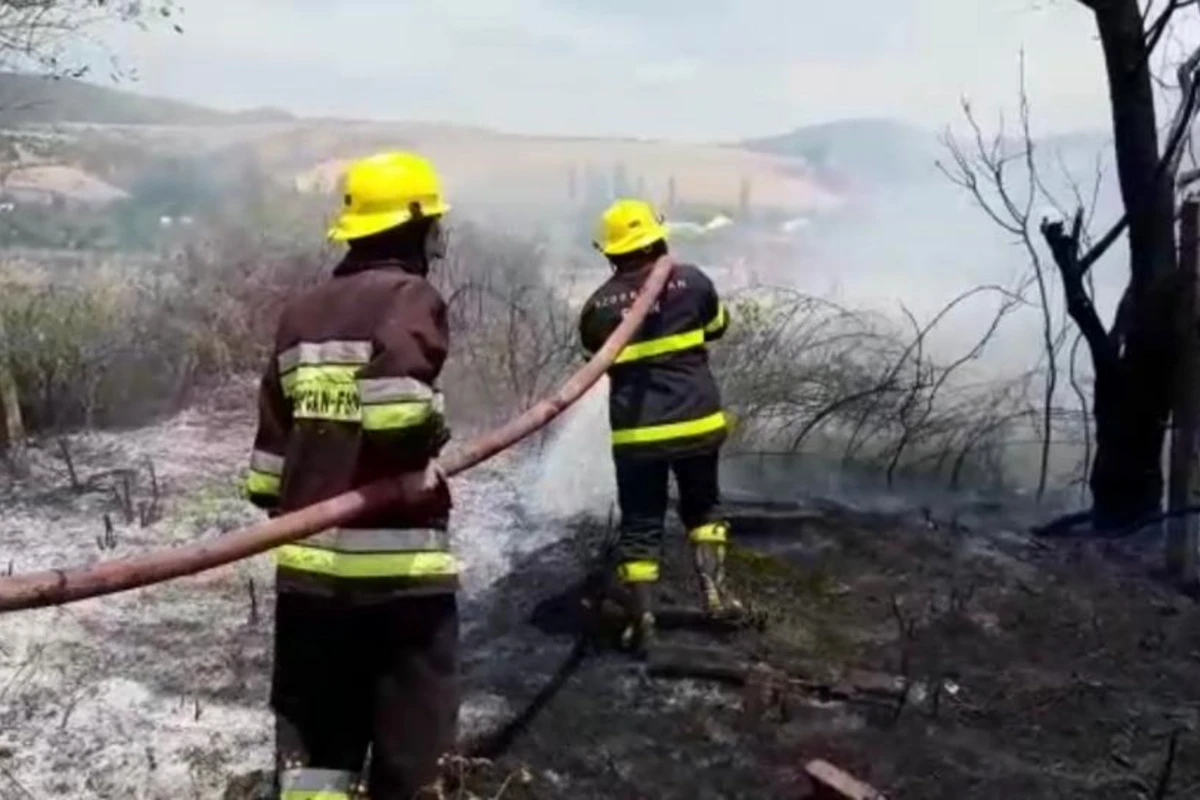 Azərbaycanda taxıl sahəsində yanğın olub - FOTO/VİDEO