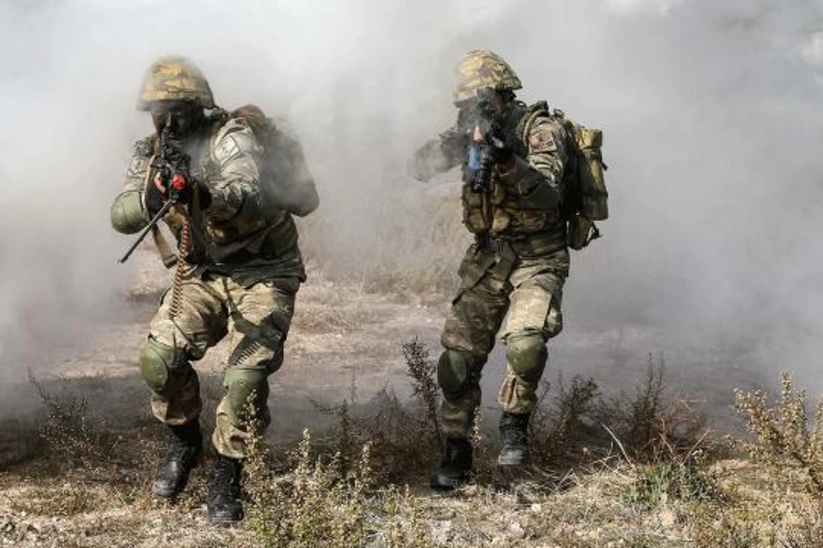 Pəncə-Kilid əməliyyatı bölgəsində 2 PKK terrorçusu zərərsizləşdirildi - VİDEO