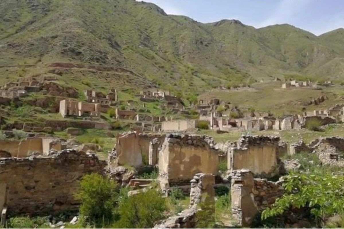 “Göyçə-Zəngəzur Respublikası” fəaliyyətini dayandırdığını bəyan etdi - FOTO