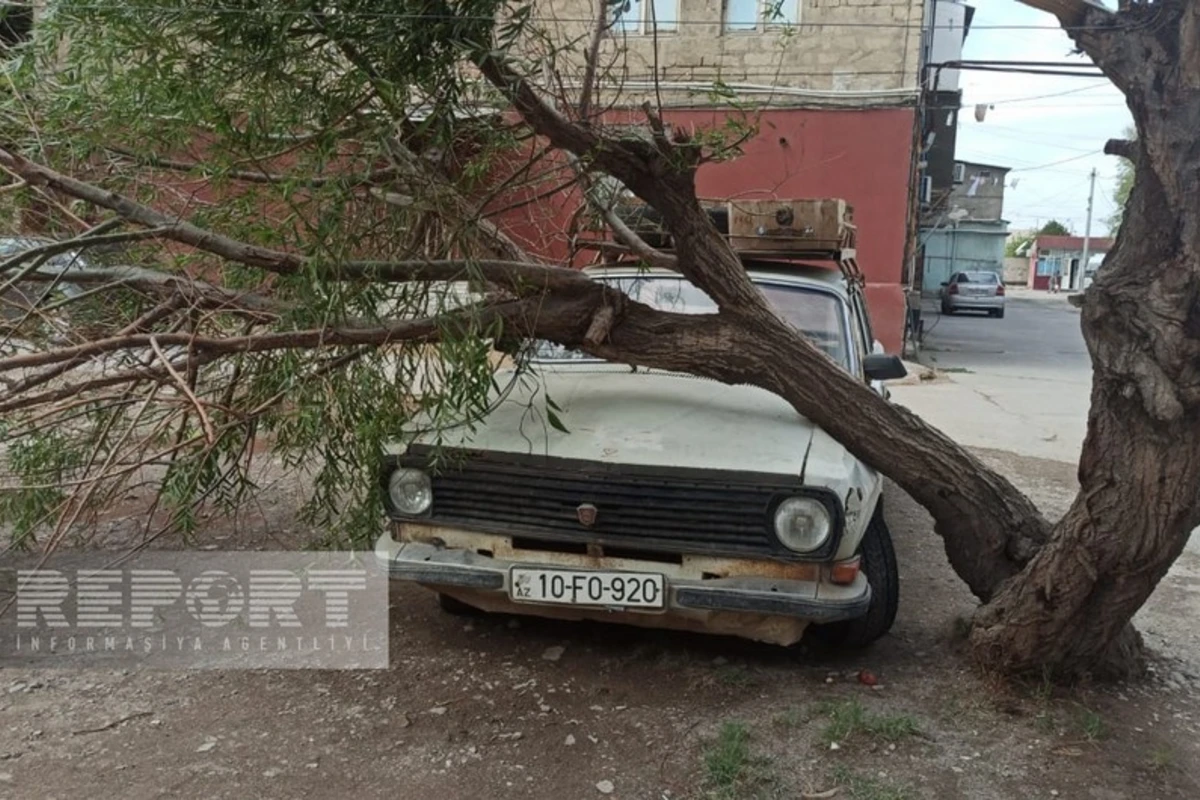 Güclü külək Sumqayıtda bir sıra fəsadlar törədib - FOTO