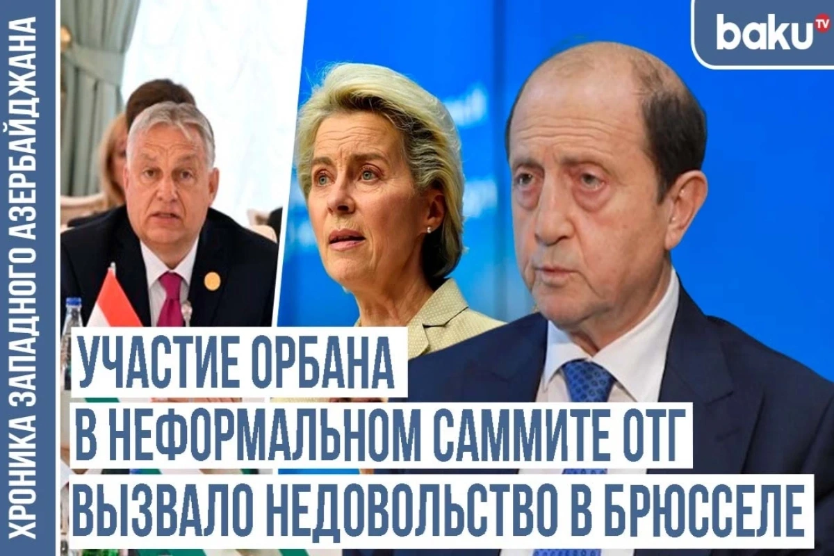 Аббасали Гасанов: Тюрки обеспечат безопасность, стабильность и процветание во всех регионах - ВИДЕО