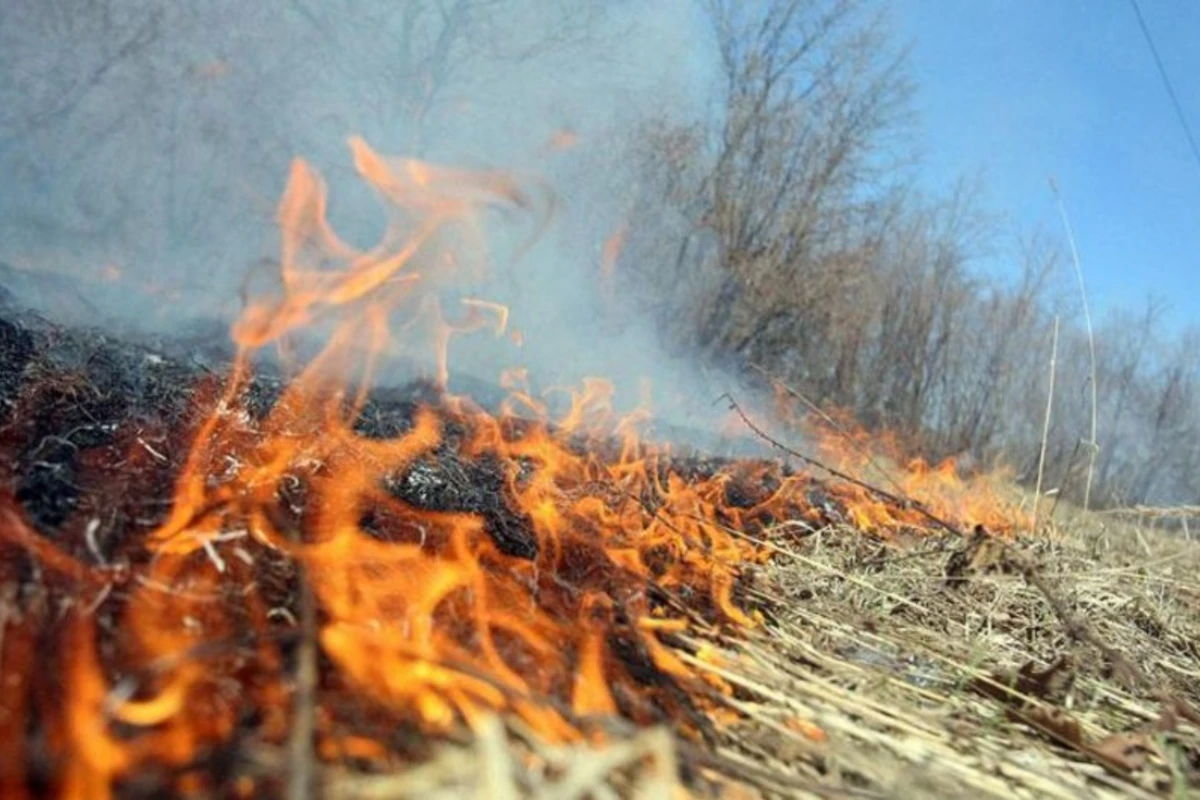 Hidrometeorologiya Xidməti isti günlərdə yanğına həssas bölgələri açıqlayıb