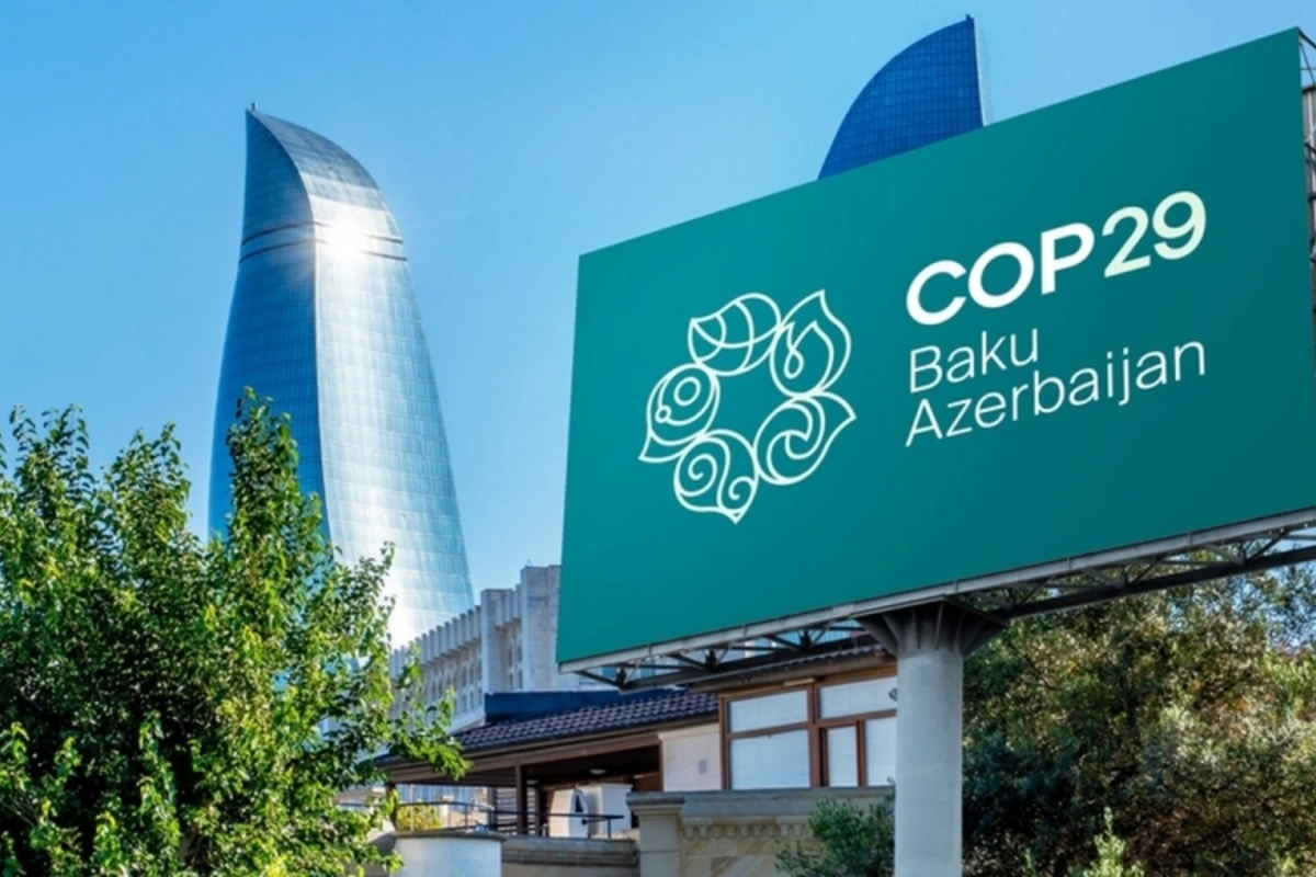 COP29 könüllülərinə xüsusi pul mükafatı ayrıldı