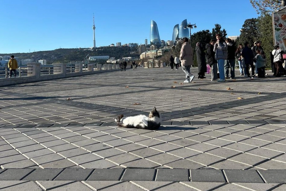 Yeni ilin ilk günündə Bakı gəzintisindən fotolar paylaşdı