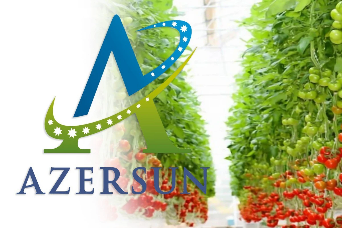 Сотрудники компании при Azersun Holding отравились?