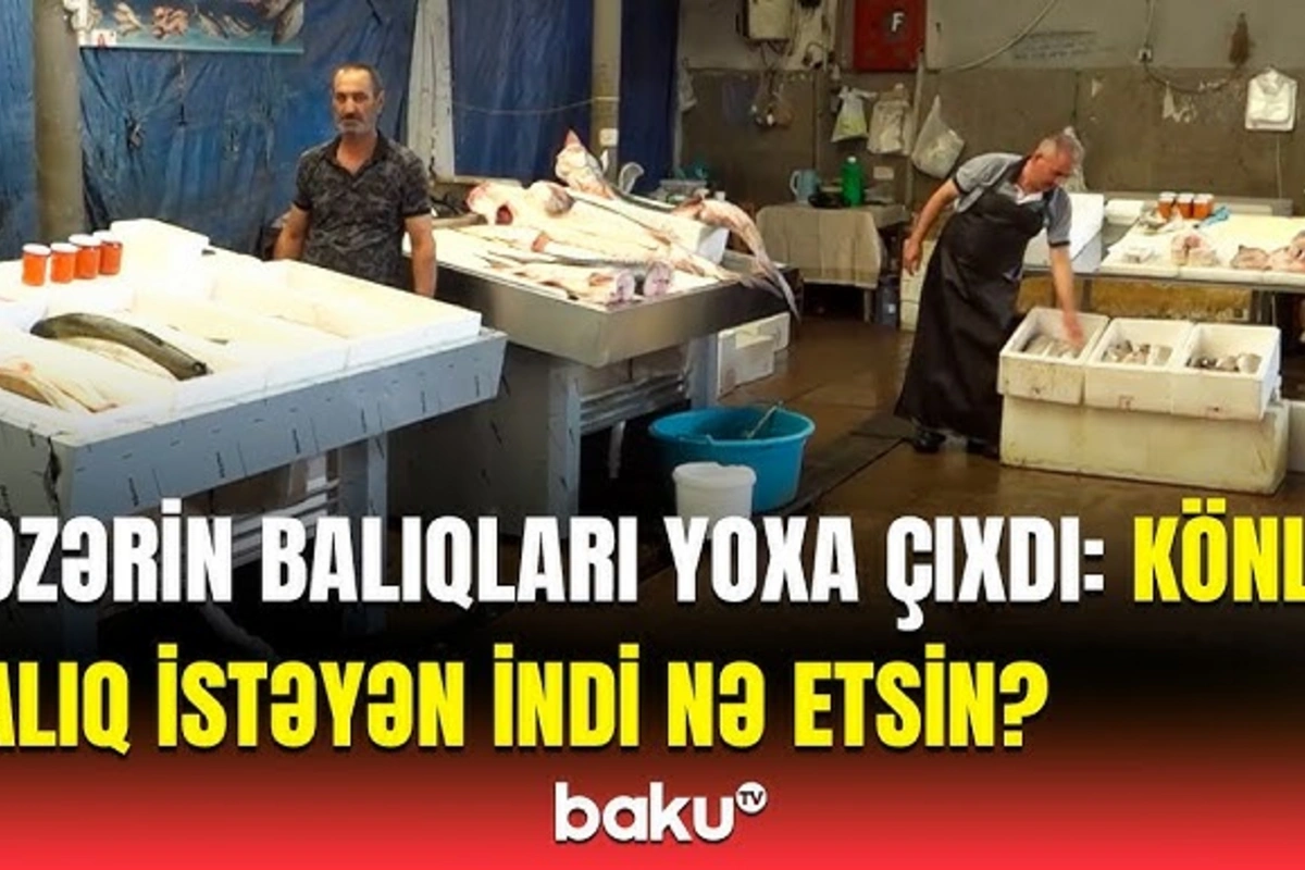 Sonuncu dəfə ilyarım qabaq almışam - Xəzərdə balıqlar niyə qeybə çəkilib?