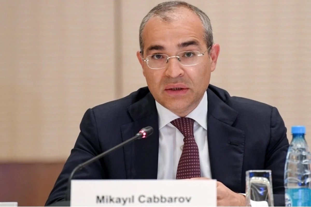 Mikayıl Cabbarov: Azərbaycan məktəblərində rəqəmsal səriştələrin tədrisinə başlanılıb