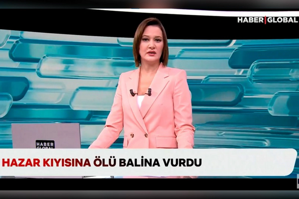 Haber Global COP29-da: Türkiyə iqlim gündəmini müəyyən edir və fəaliyyətə çağırır