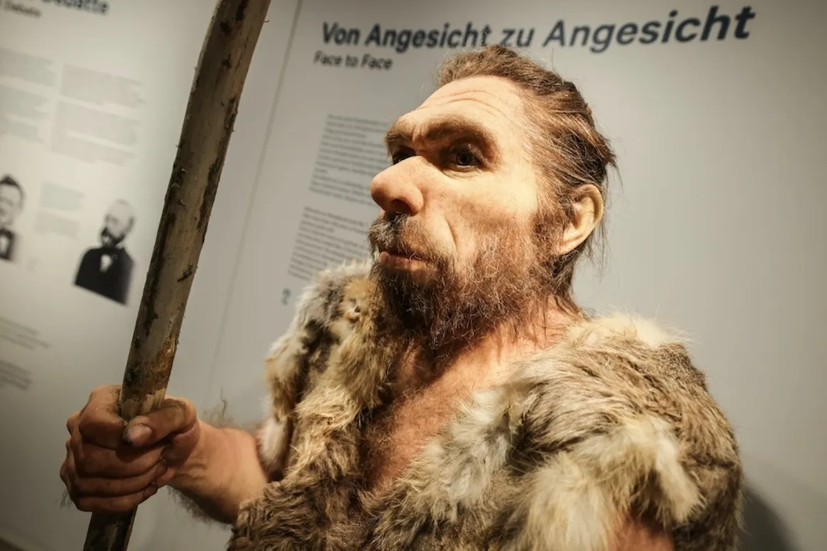 Alimlər neandertalların sənətlə məşğul olduğunu müəyyənləşdirib