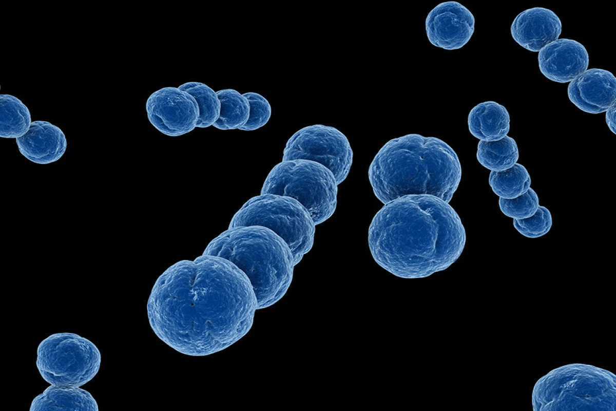 Honq-Konqda streptokok infeksiyası yayılıb, ölənlər var