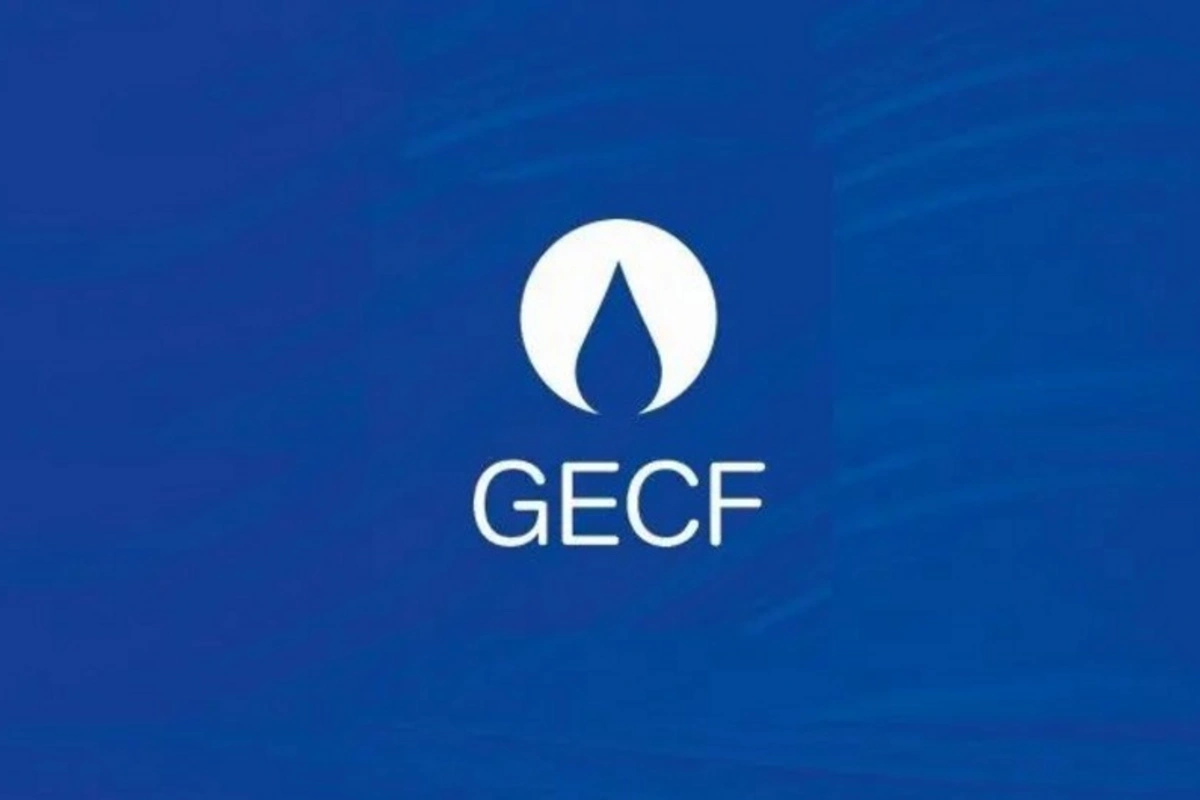 GECF və OPEC COP29-da iqlim dəyişikliyi ilə mübarizə çərçivəsində birgə addımları müzakirə ediblər