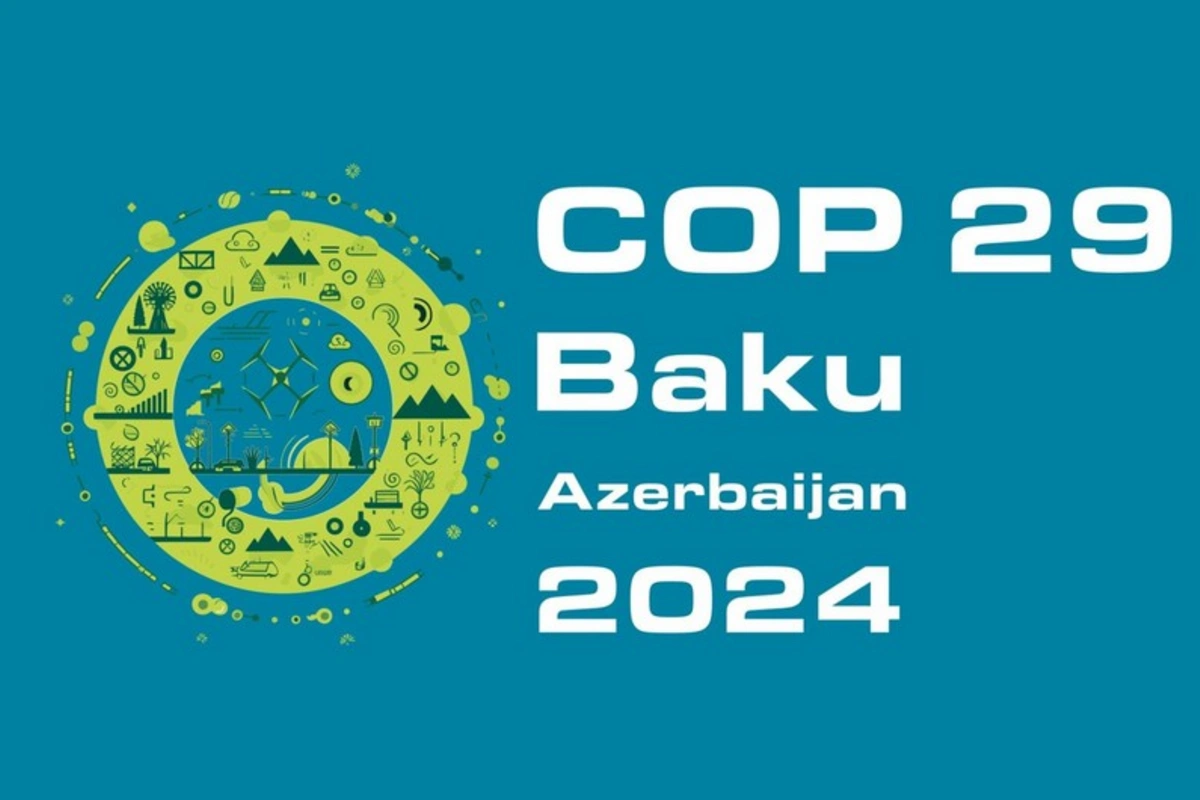 Ekspert: COP29-dan yeni iqlim maliyyəsi hədəfləri üzrə irəliləyiş gözləyirəm