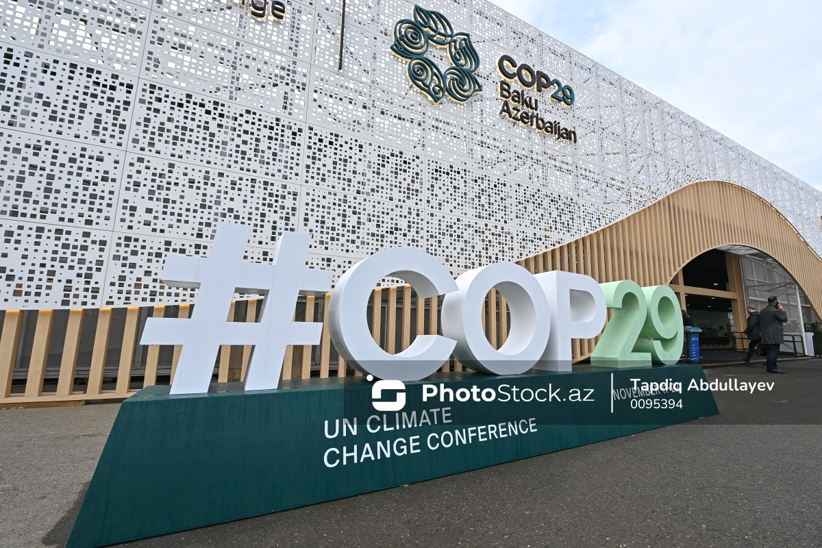 COP29: Азербайджан предлагает климатическое финансирование в размере 250 млрд долларов в год