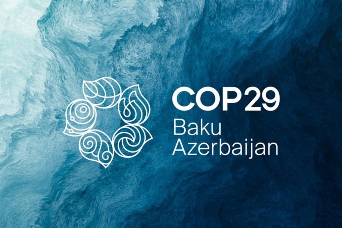 UNEP rəhbəri: Bakıda COP29-da bizim quracağımız təməl qoyulub