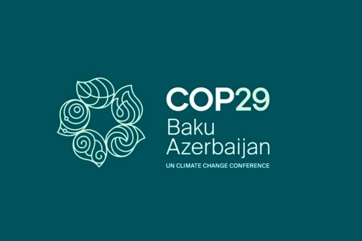 Azərbaycan COP29-un maliyyə öhdəlikləri ilə yanaşı digər faktiki əlavə xərcləri öz üzərinə götürür