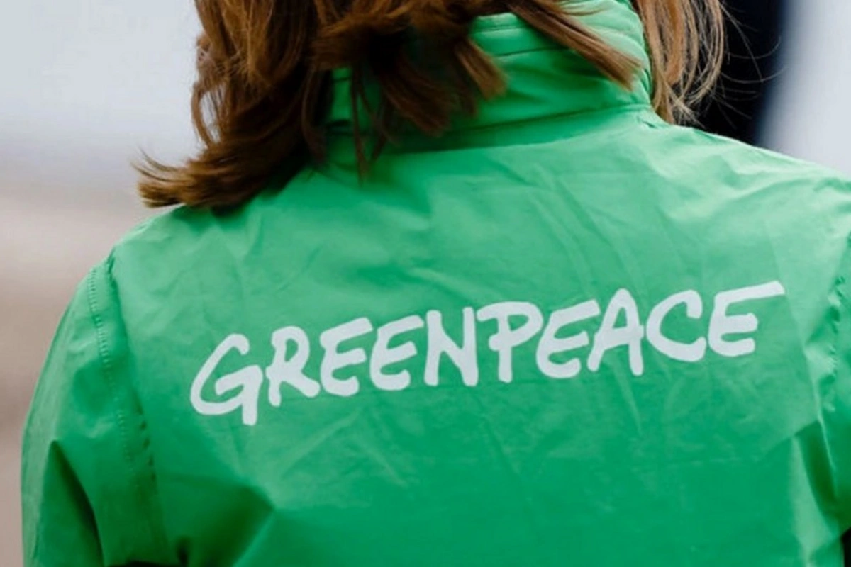 Greenpeace COP29-da inkişaf etməkdə olan ölkələrin maliyyələşdirilməsinin artırılmasına çağırır