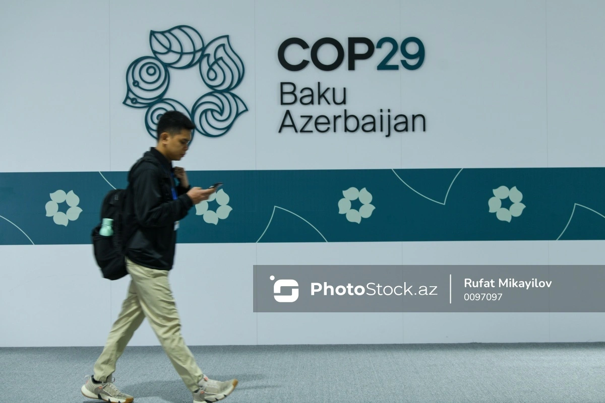 Двенадцатый день COP29: стартовали мероприятия Голубой зоны