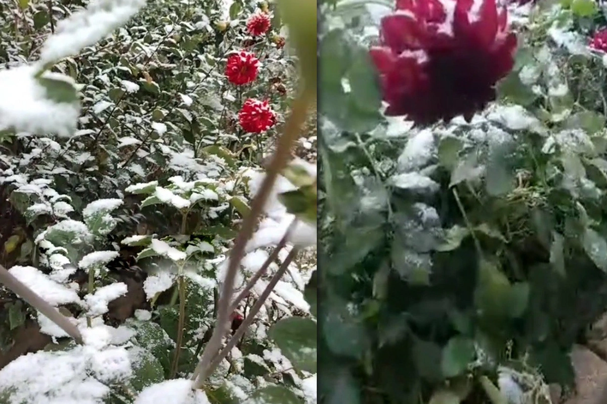 Naxçıvanın dağ kəndlərinə ilk qar yağıb