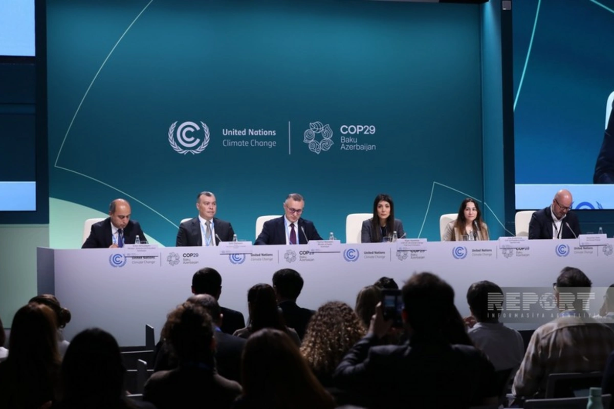 COP29-da İqlim və sağlamlıq üzrə Həmsədrlər Koalisiyası yaradıla bilər