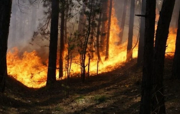 Nazirlikdən Şahdağdakı yanğınla bağlı açıqlama