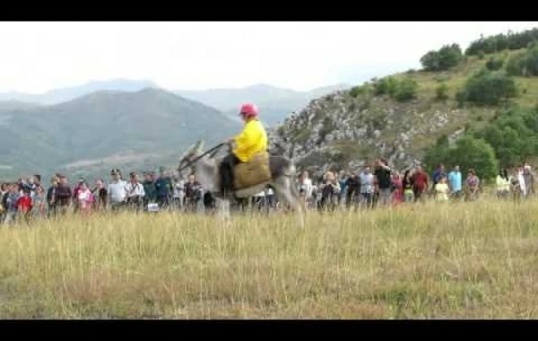 Ermənilərin Şuşanın Cıdır düzündə ulaq yarışı (VİDEO)