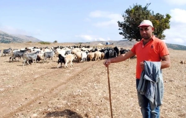 Türkiyədə çobana qız satan azərbaycanlılar tutuldu (FOTO)