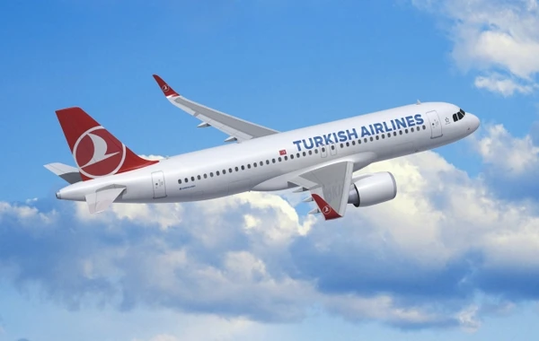 İstanbul-Bakı aviareysi qarlı hava şəraitinə görə təxirə salındı